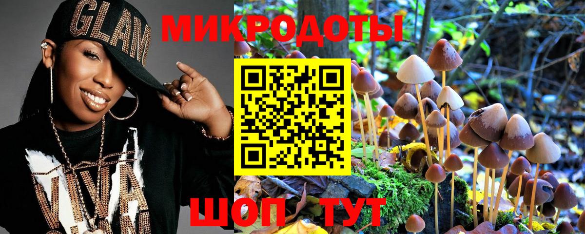 Псилоцибиновые грибы Psilocybe Россошь